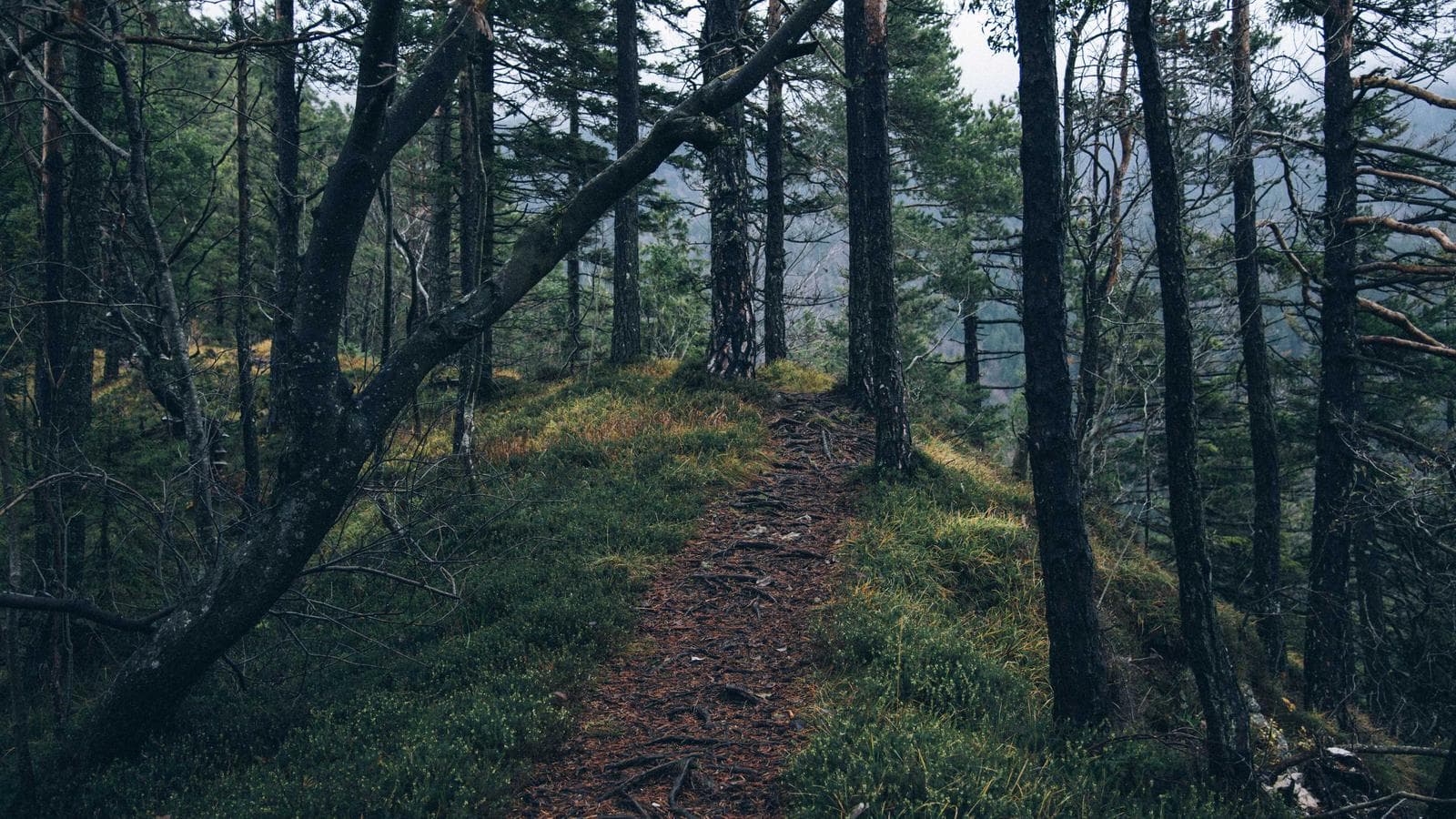 Chalet con jardín y piscina privada — L'Escala, Costa Brava