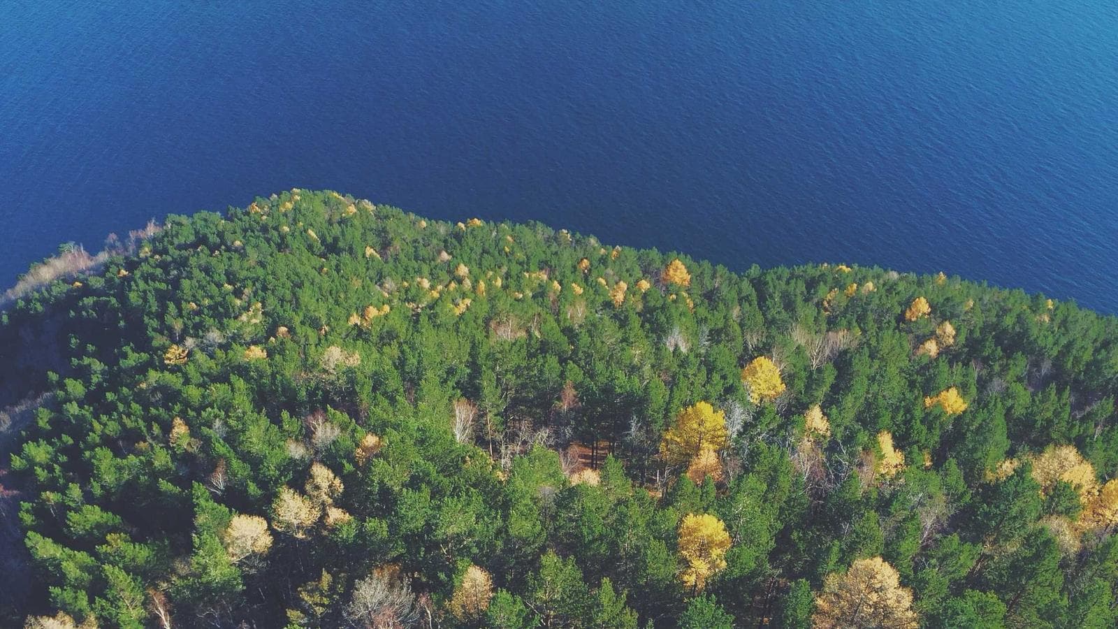 Casa Salvia — Villa Mediterránea Contemporánea