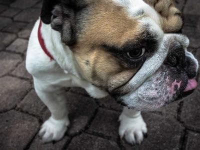 Casa Salvia — Villa Mediterránea Contemporánea - foto 3