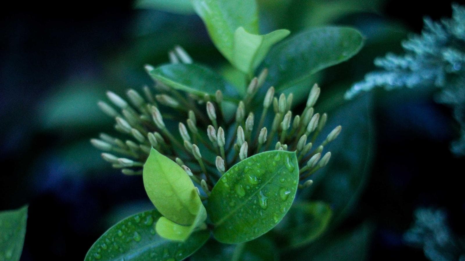 Promocion de apartamentos de lujo en el Quadrat d'Or, Barcelona 