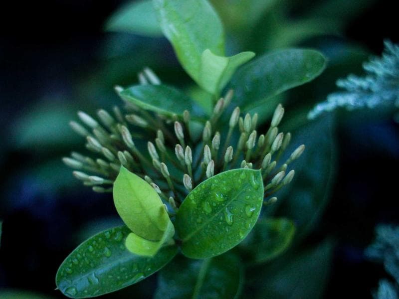 Promocion de apartamentos de lujo en el Quadrat d'Or, Barcelona 